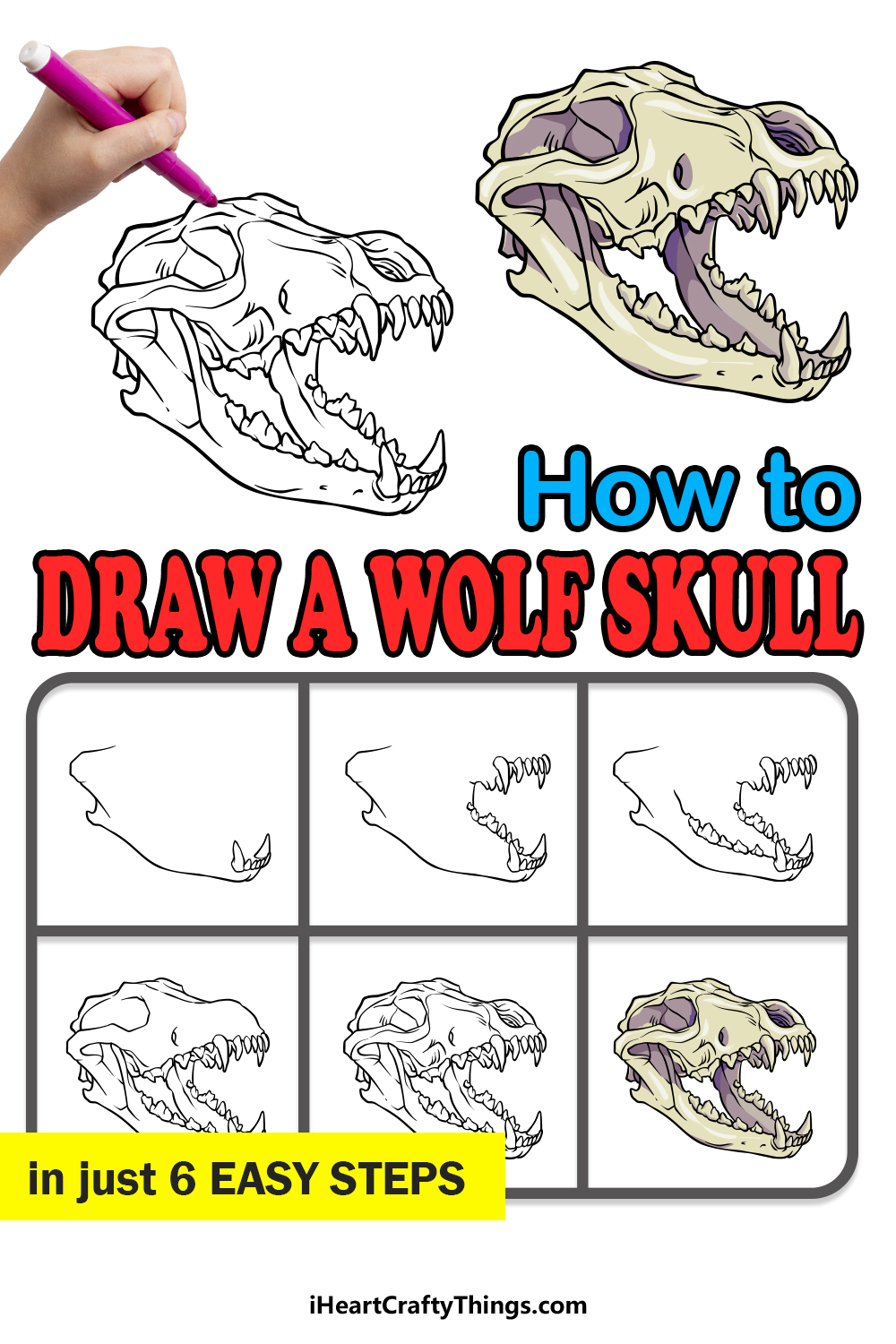 how to draw a Wolf Skull in 6 easy steps
