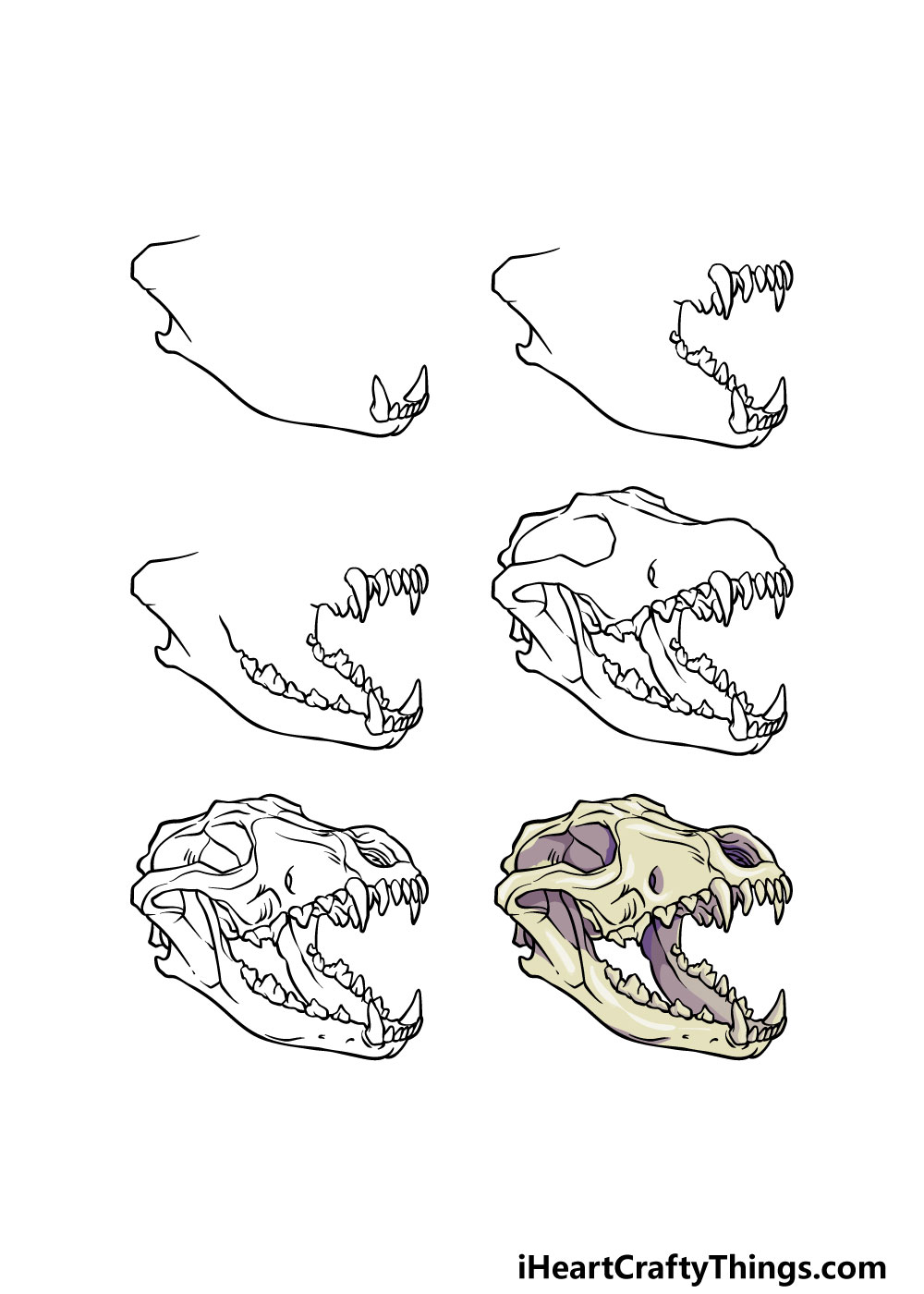 how to draw a Wolf Skull in 6 steps