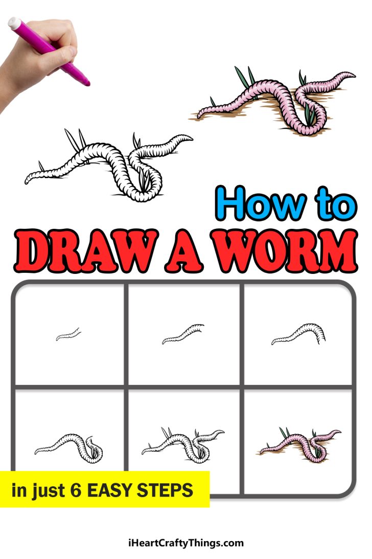 Worm Drawing How To Draw A Worm Step By Step