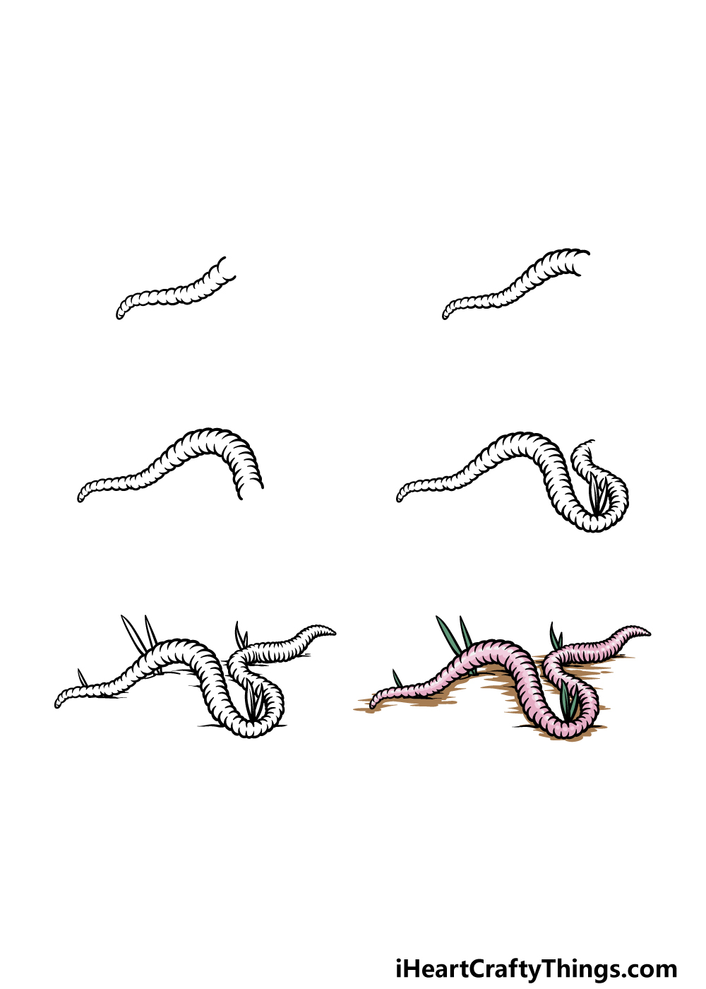 how to draw a worm in 6 steps