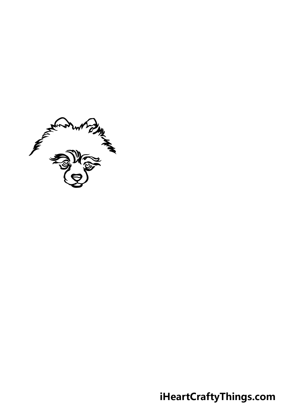 how to draw a Pomeranian step 1