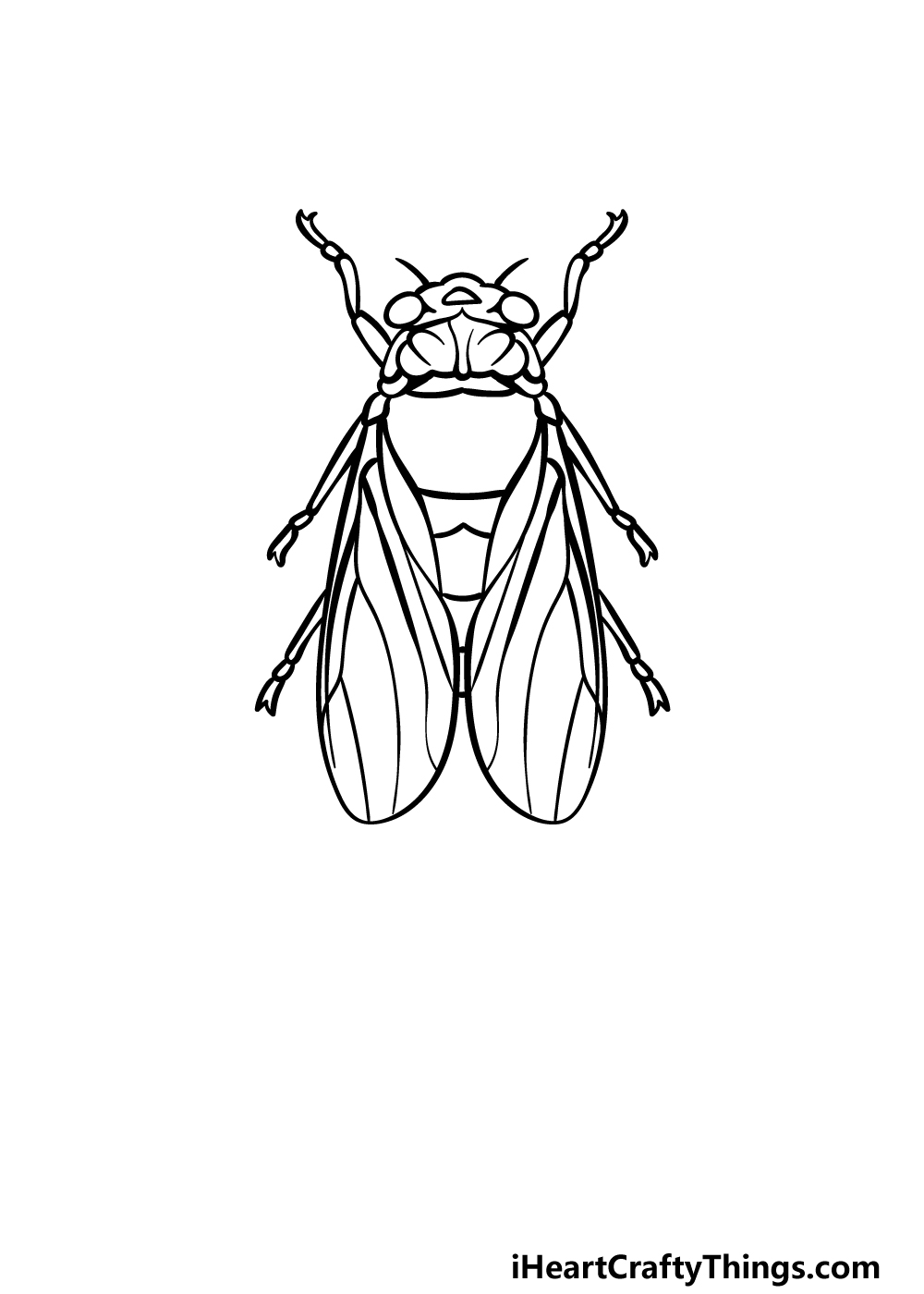 how to draw a Cicada step 2