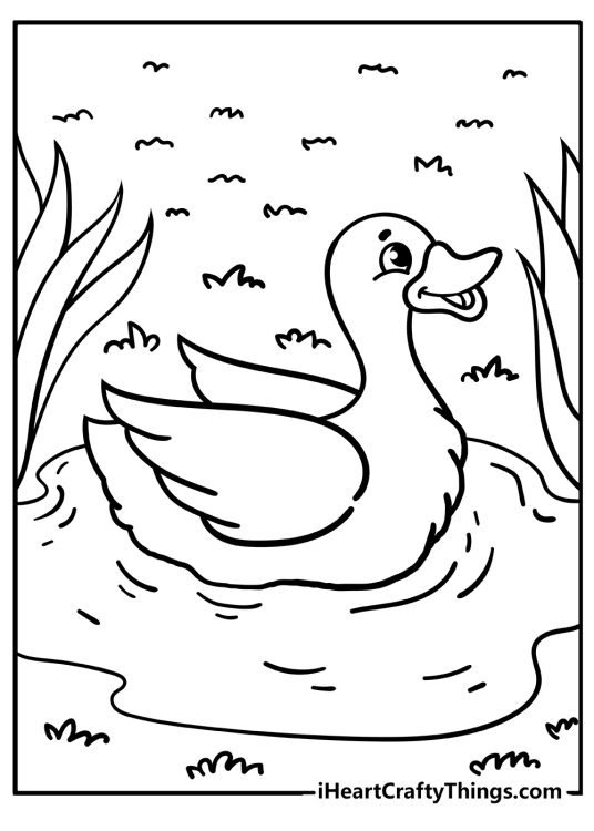 Farm animal coloring sheet featuring little duck on a water surrounded by greenery