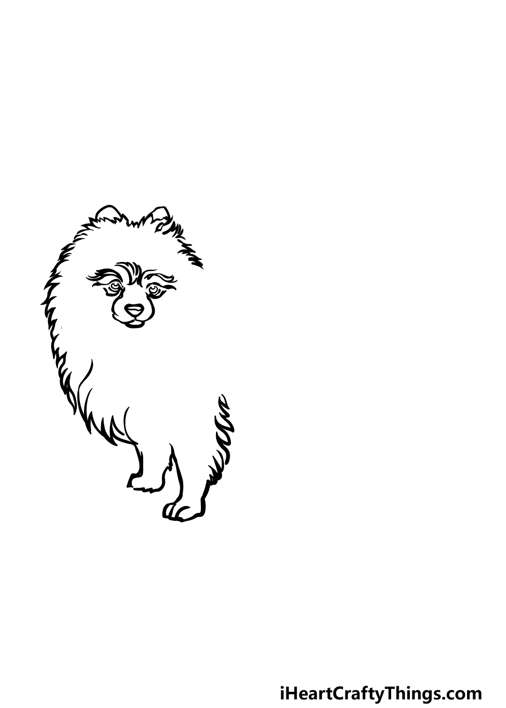 how to draw a Pomeranian step 2