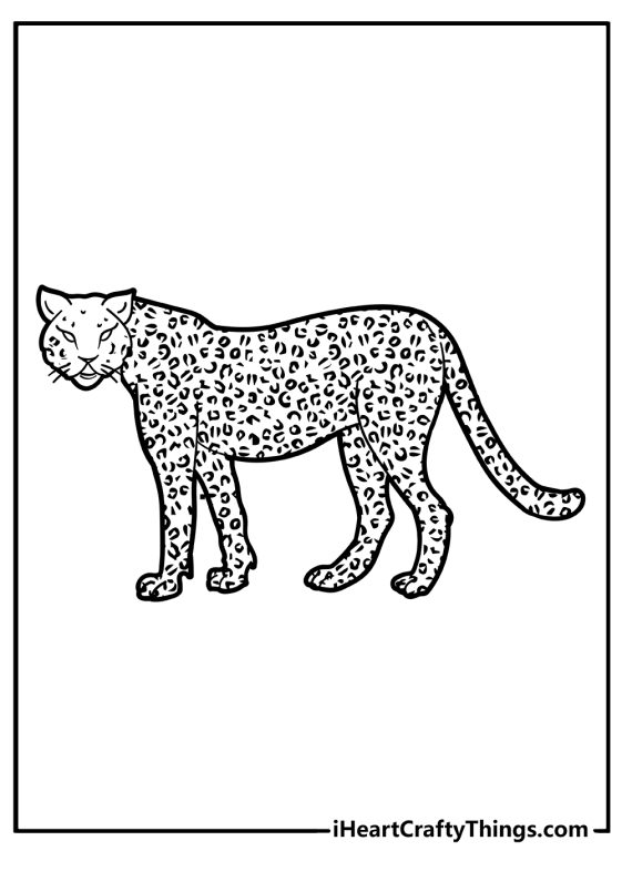 25 Cheetah Coloring Pages (100% Free Printables)