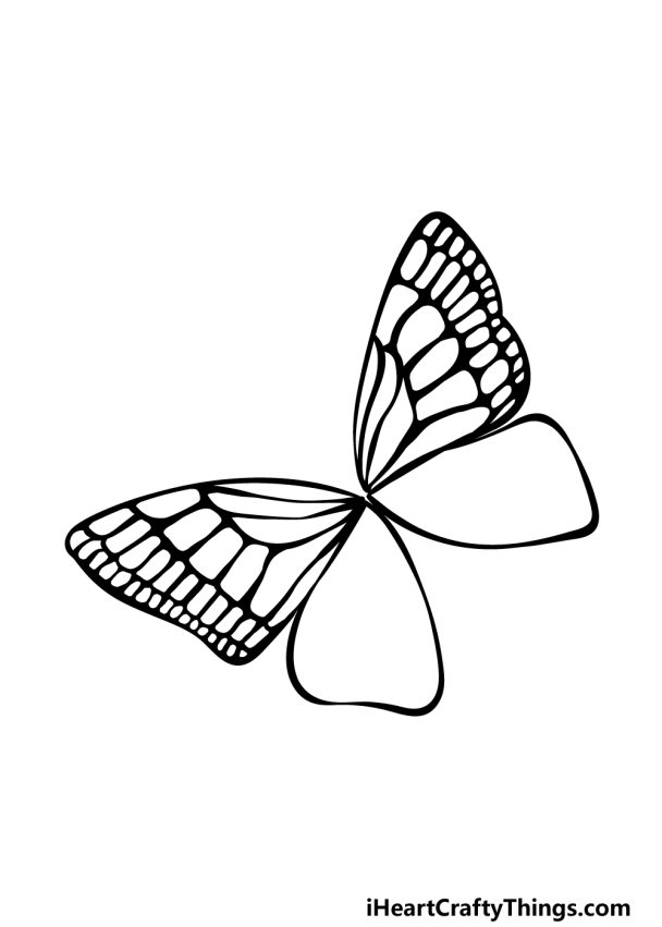 Colorful Butterfly Drawing - How To Draw A Colorful Butterfly Step By Step