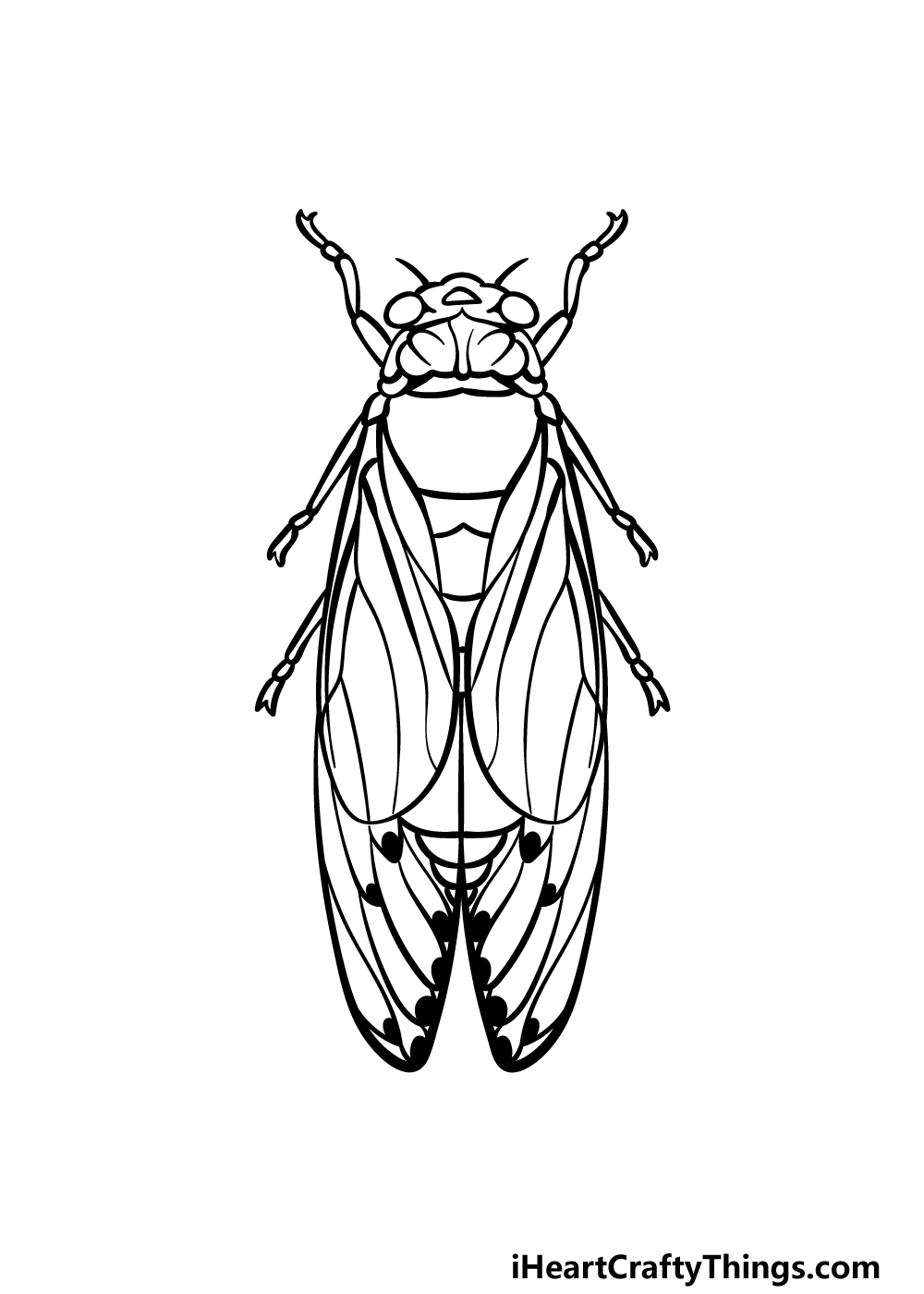 how to draw a Cicada step 3