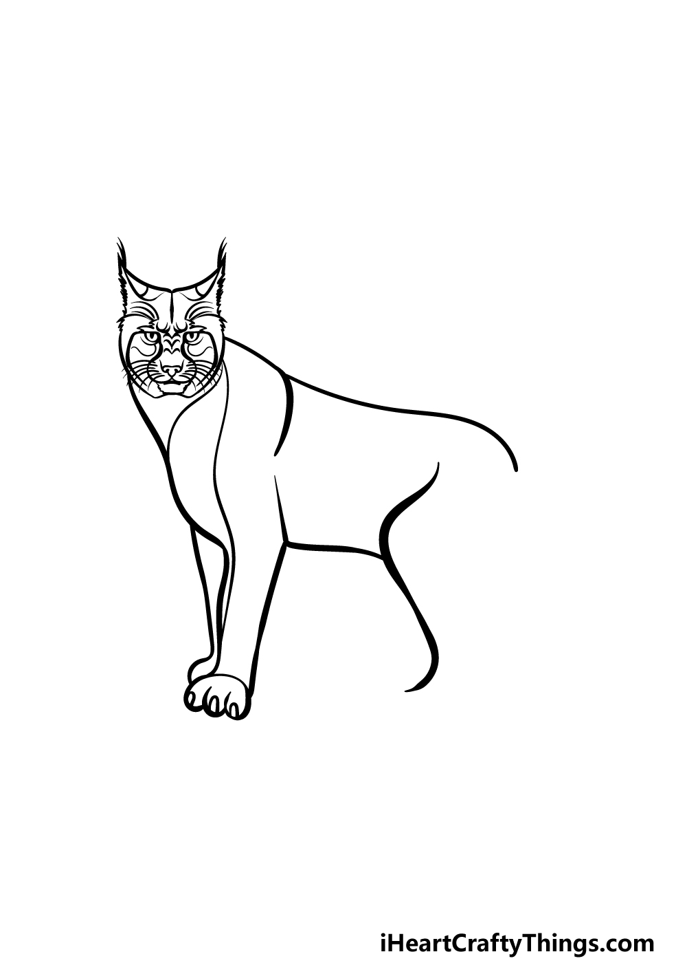 how to draw a Bobcat step 3