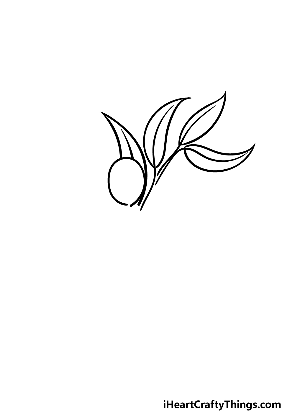 how to draw an Olive Branch step 3