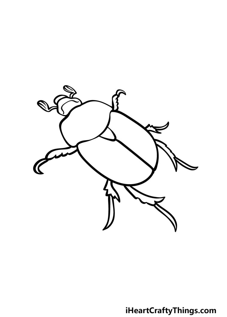 Beetle Drawing - How To Draw A Beetle Step By Step