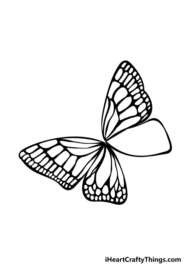 Colorful Butterfly Drawing - How To Draw A Colorful Butterfly Step By Step