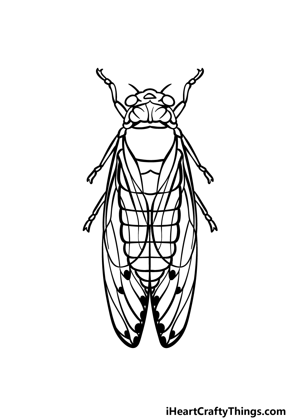 how to draw a Cicada step 4