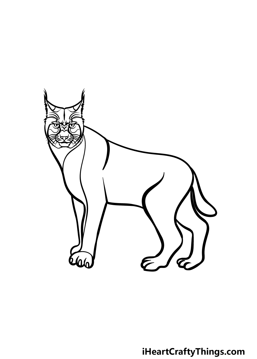 how to draw a Bobcat step 4