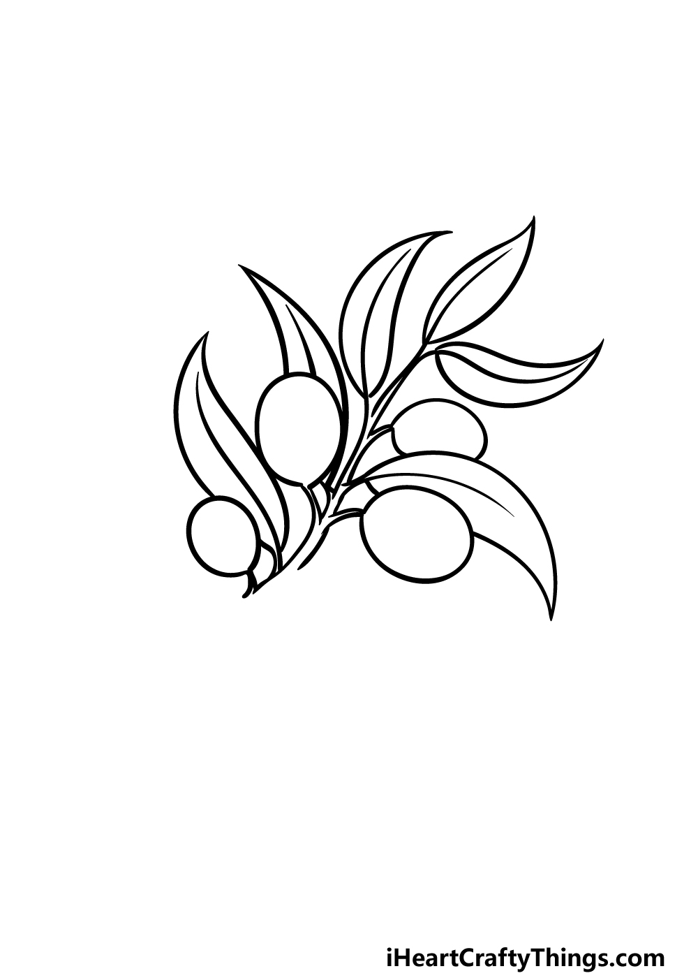 how to draw an Olive Branch step 4