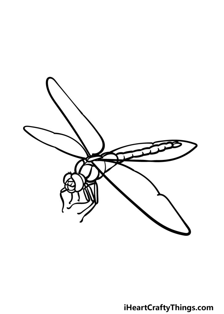 Dragonfly Drawing - How To Draw A Dragonfly Step By Step