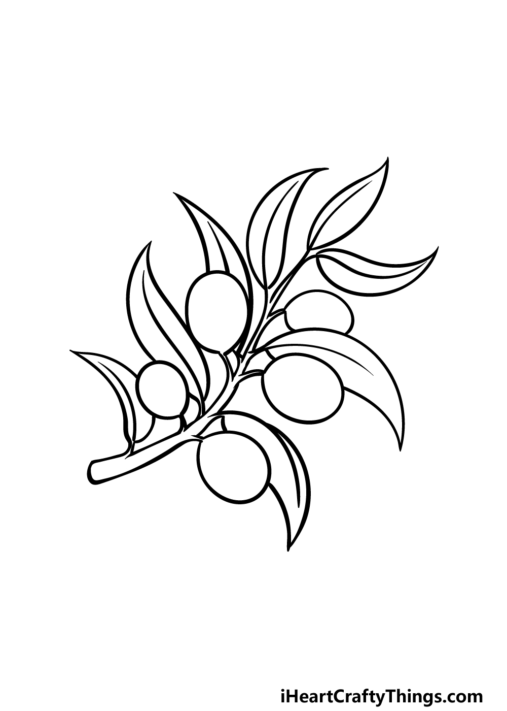 how to draw an Olive Branch step 5