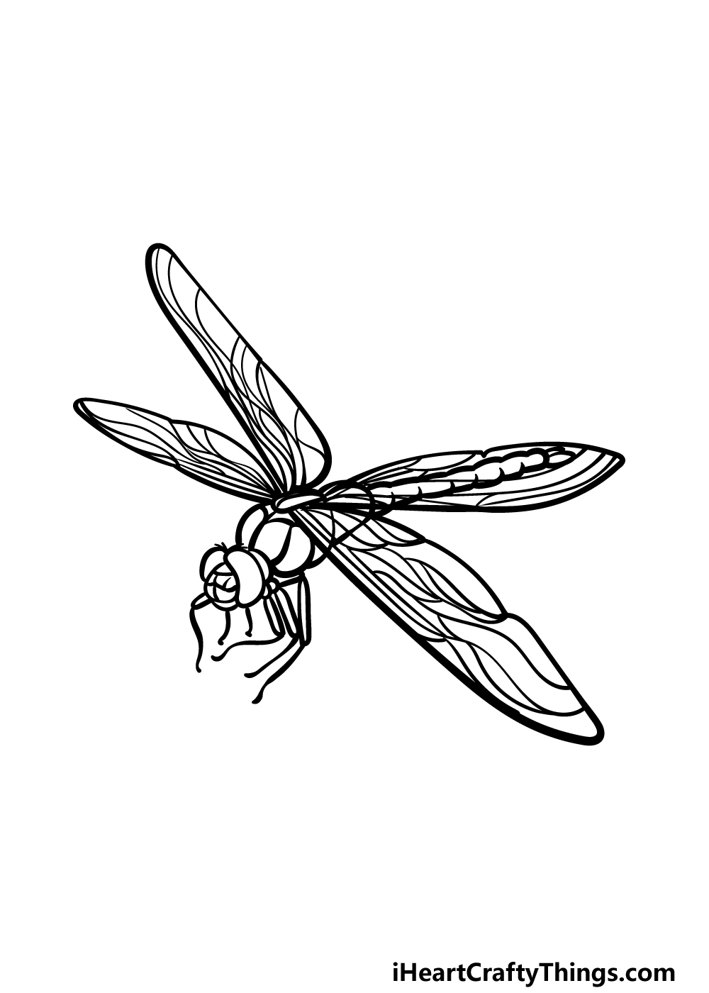 how to draw a Dragonfly step 5