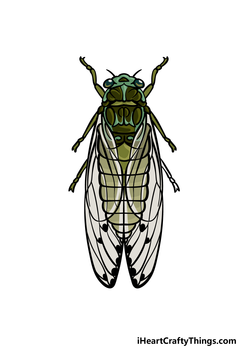 how to draw a Cicada step 6