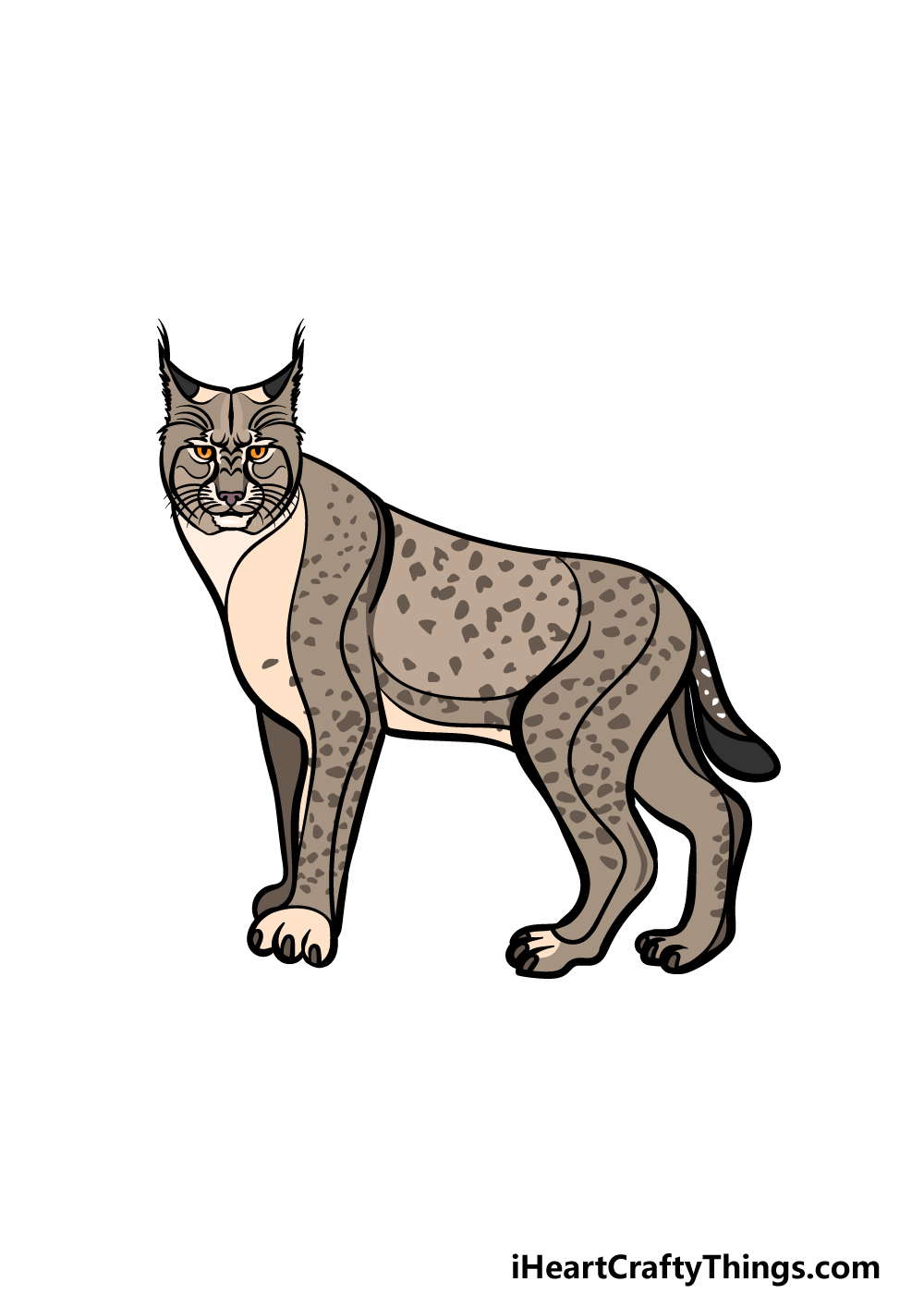 how to draw a Bobcat step 6