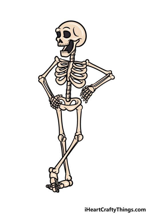 Cartoon Skeleton Drawing - How To Draw A Cartoon Skeleton Step By Step