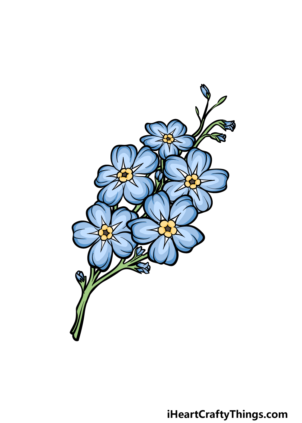 how to draw a Forget Me Not step 6