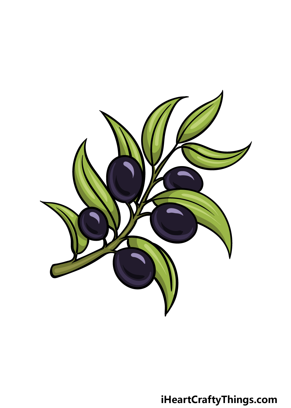 how to draw an Olive Branch step 6