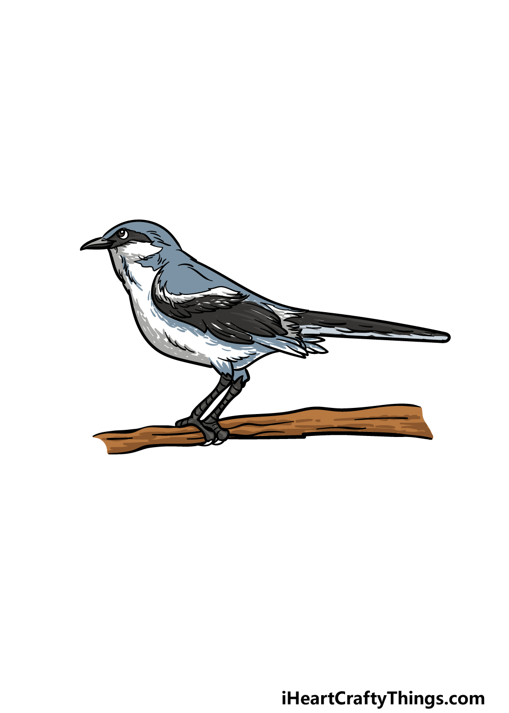 how to draw a Mockingbird step 6