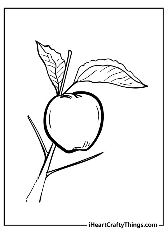 Coloring picture for children featuring an apple with two leaves hanging on a branch