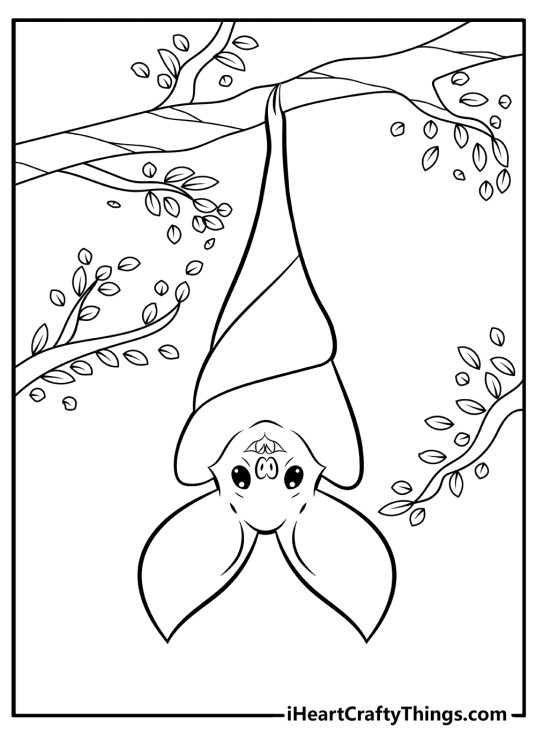 Bat Coloring Pages (100% Free Printables)