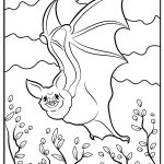 Bat Coloring Pages free printable