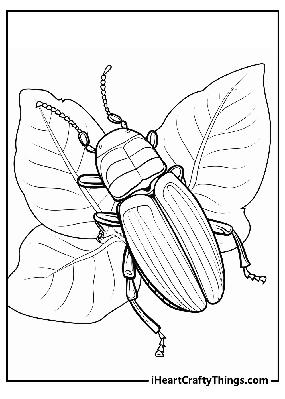 bug coloring pages for kids
