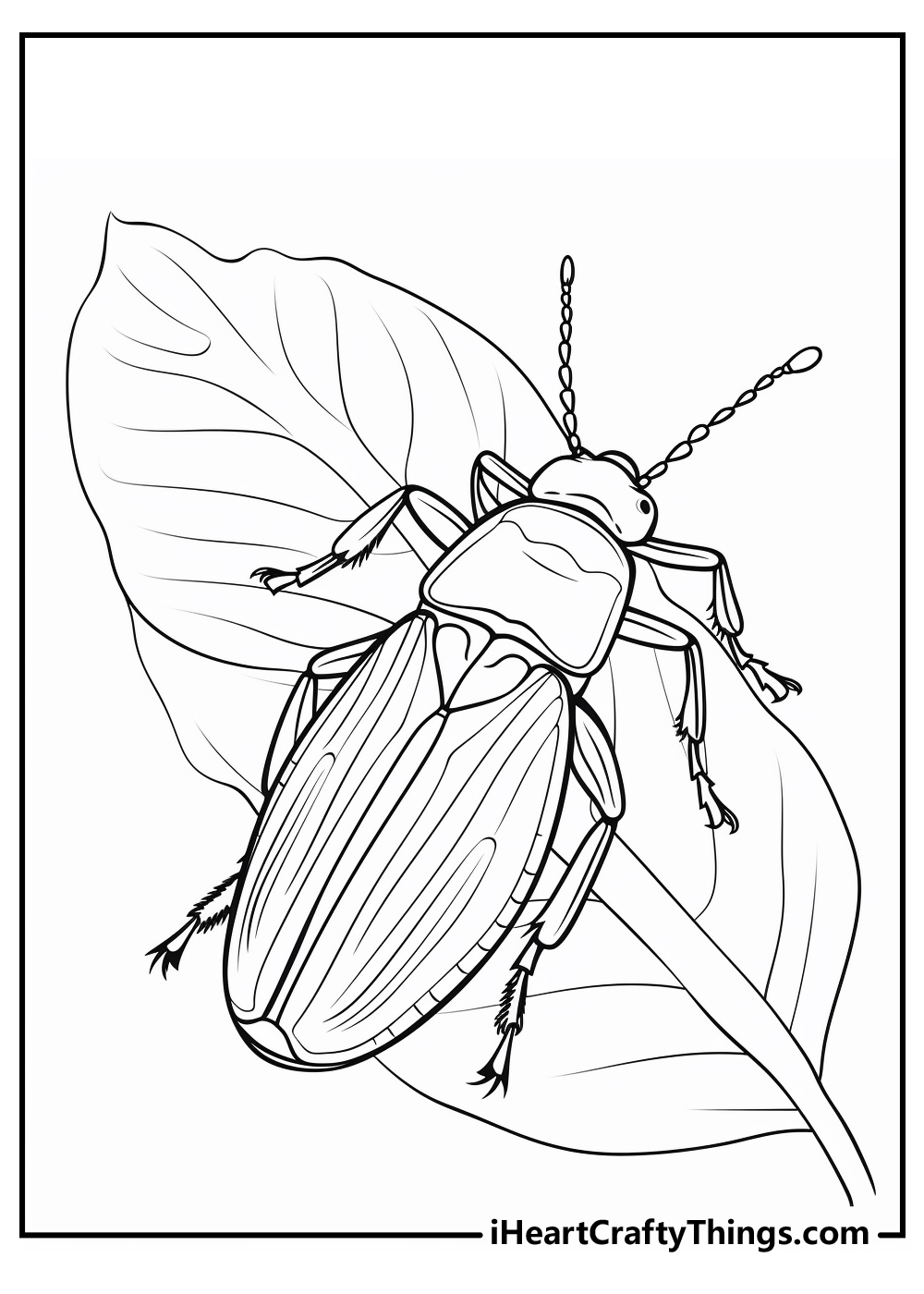 black-and-white bug coloring pages