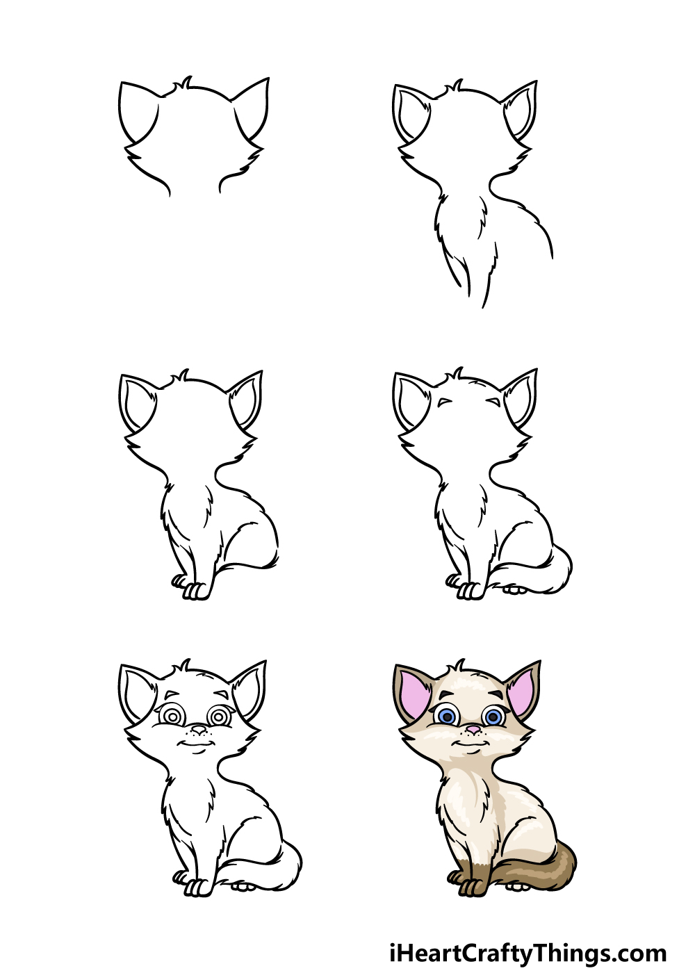 how to draw a Cartoon Cat in 6 steps