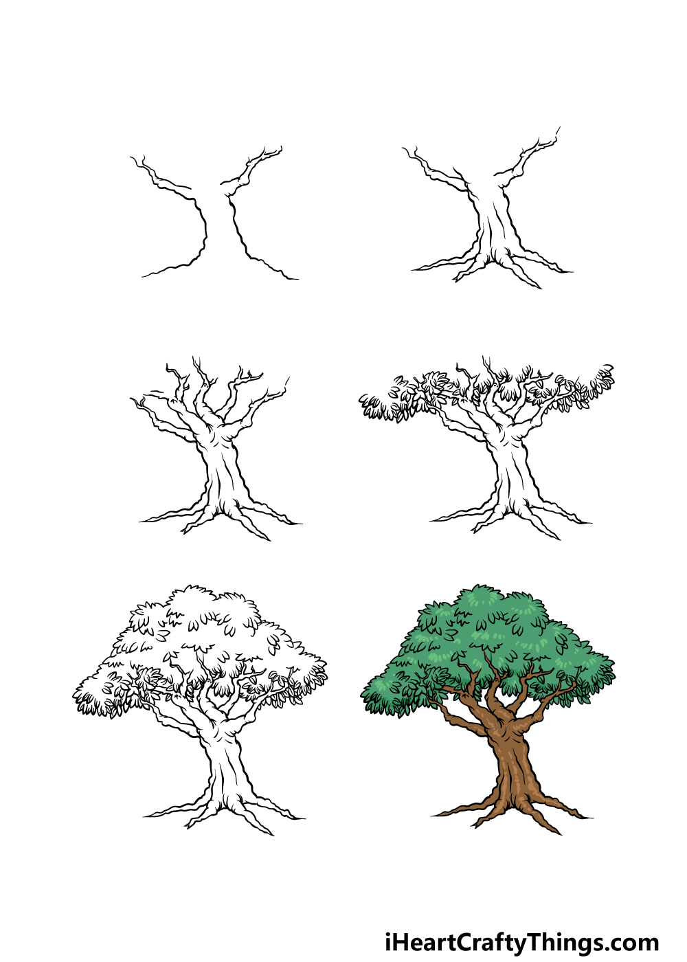 how to draw a Cartoon Tree in 6 steps