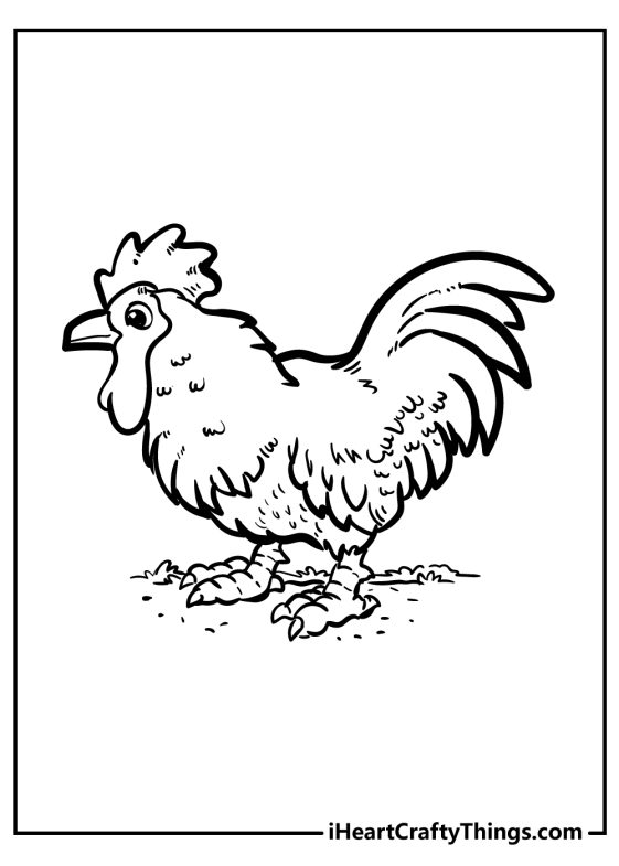 Chicken Coloring Pages (100% Free Printables)