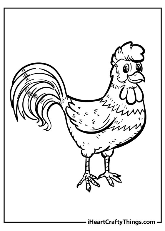 Chicken Coloring Pages (100% Free Printables)