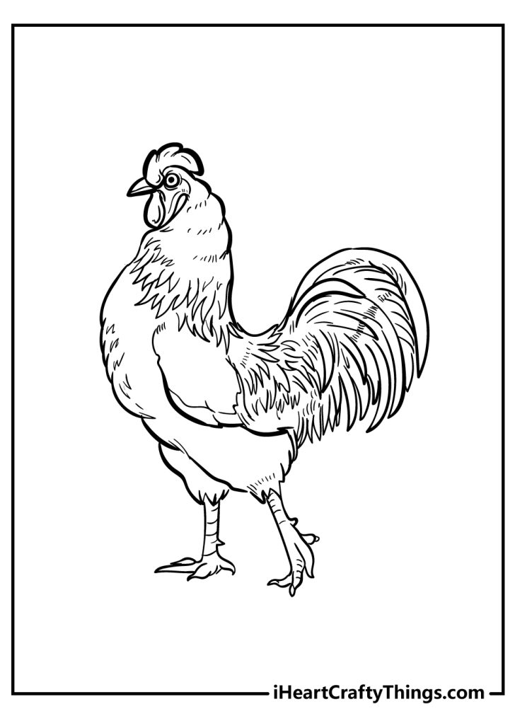 Chicken Coloring Pages (100% Free Printables)