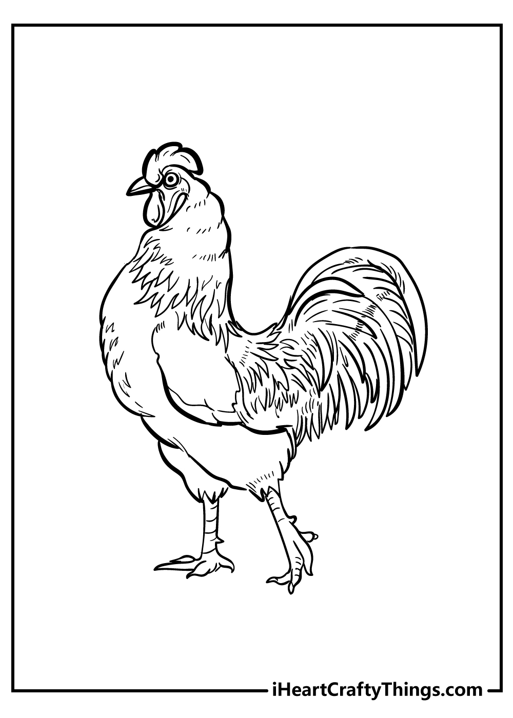 realistic Chicken Coloring Pages free printable