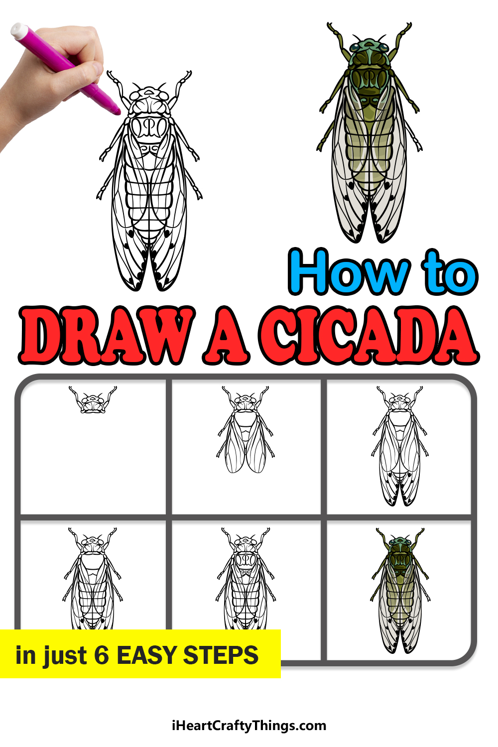 how to draw a Cicada in 6 easy steps