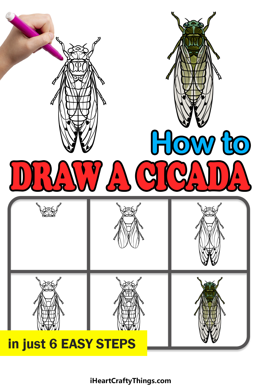 How To Draw A Cicada A Step by method Step GuideKHOA