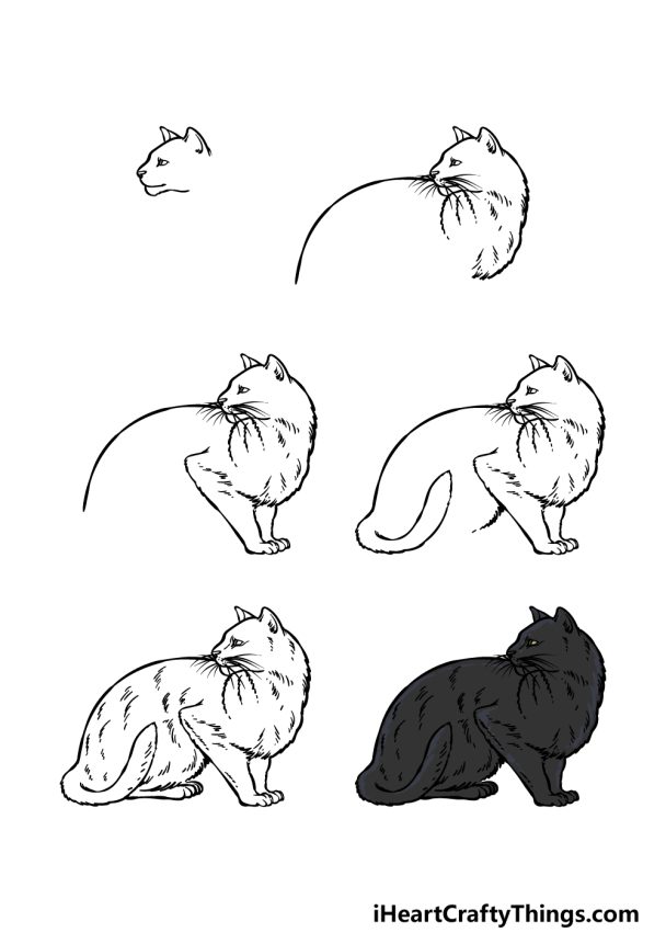 black-cat-drawing-how-to-draw-a-black-cat-step-by-step