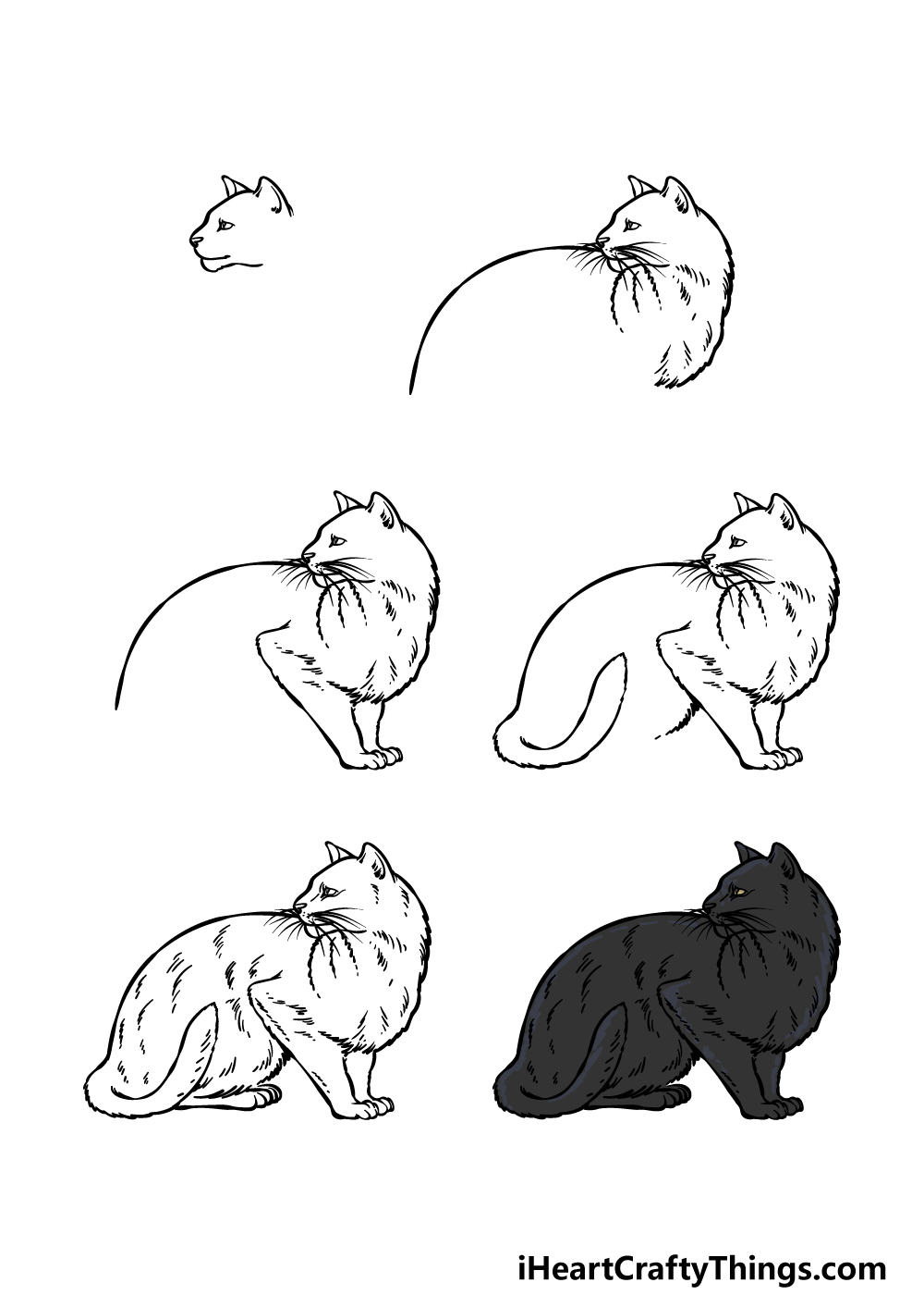 how to draw a Black Cat in 6 steps