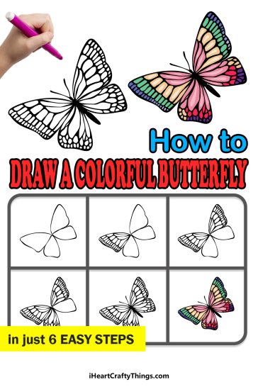 Colorful Butterfly Drawing - How To Draw A Colorful Butterfly Step By Step