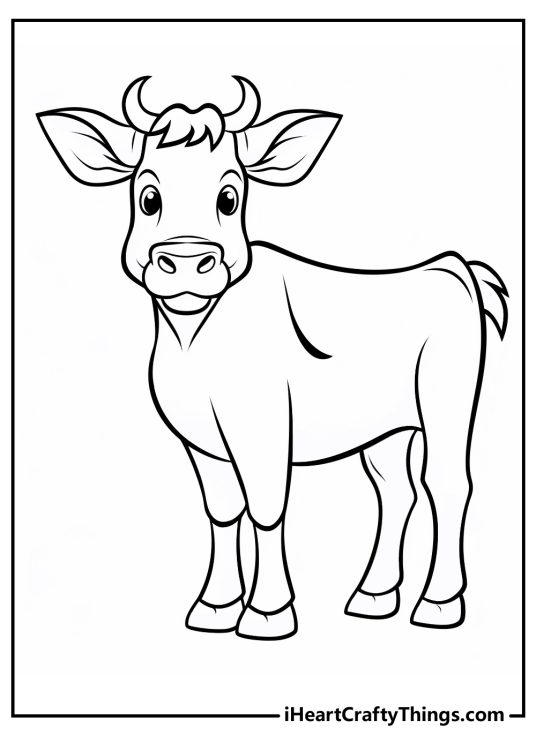 Cow Coloring Pages (100% Free Printables)