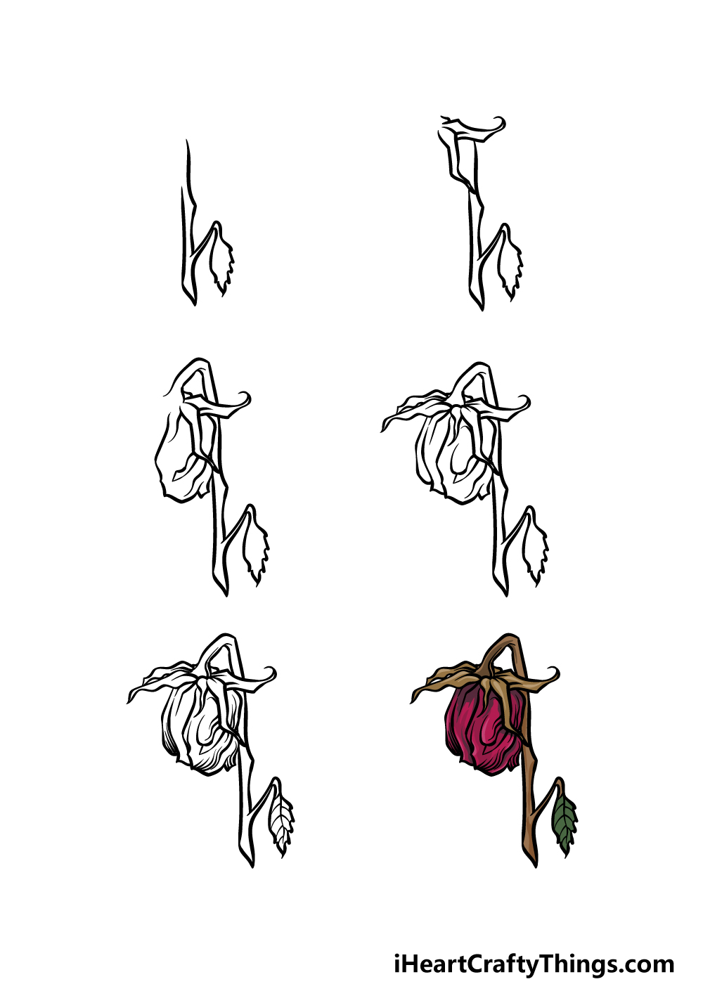 how to draw a dead flower in 6 steps