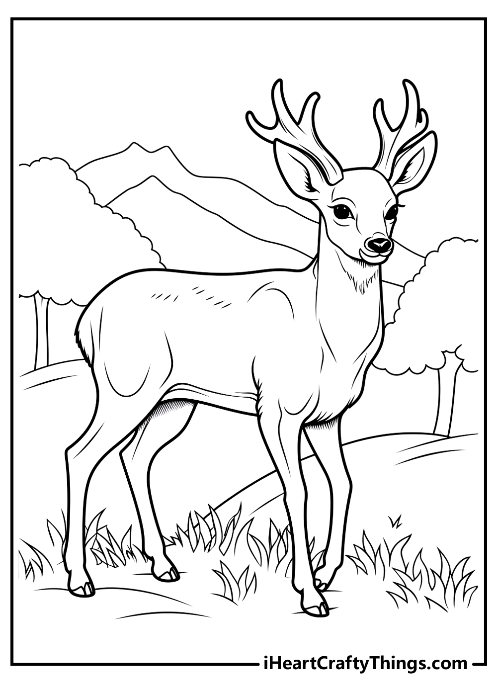 Deer Coloring Pages for Kids, Girls, Boys, Teens Birthday School