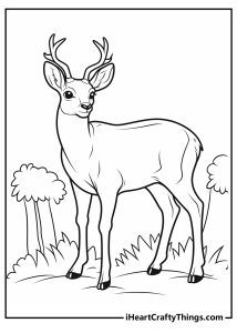 Deer Coloring Pages (100% Free Printables)