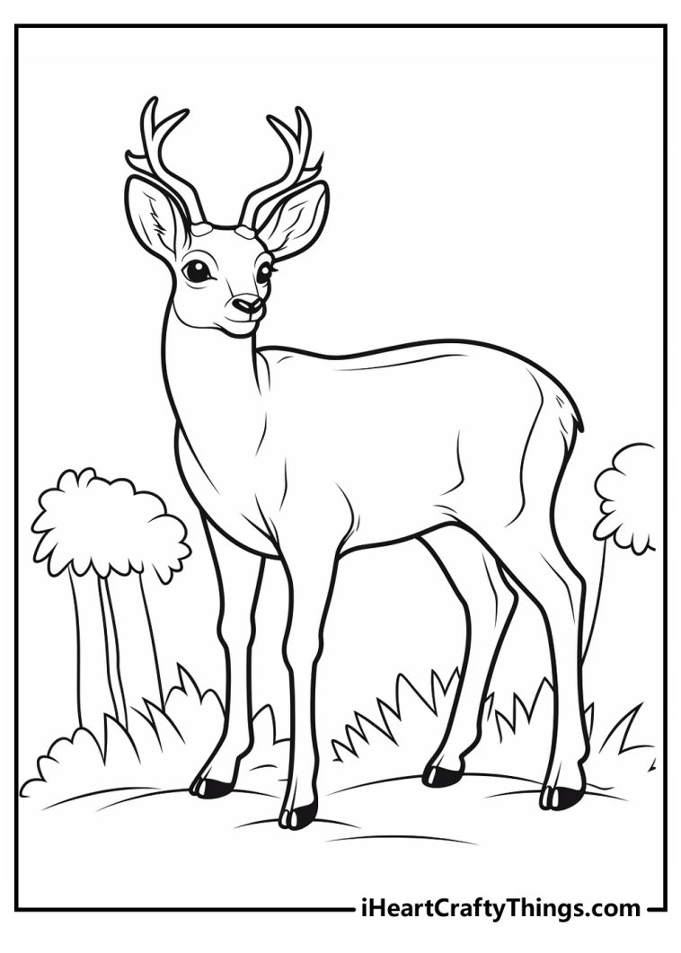 Deer Coloring Pages (100% Free Printables)