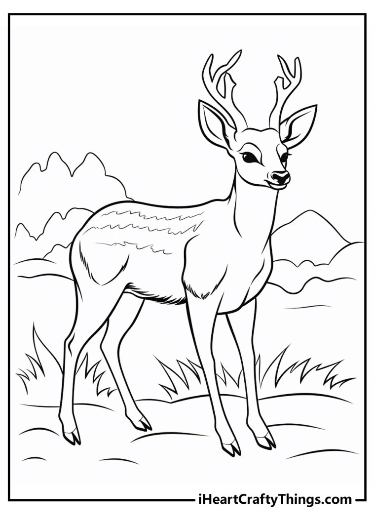 Deer Coloring Pages (100% Free Printables)