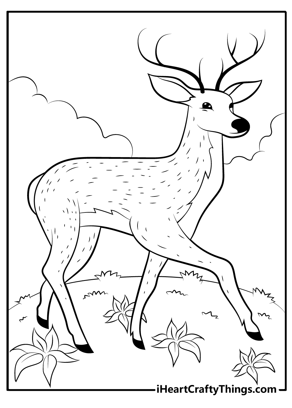 buck deer coloring page